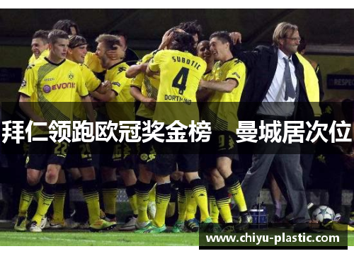 拜仁领跑欧冠奖金榜　曼城居次位